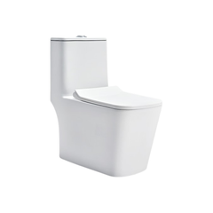 Cera Charm 6D One Piece EWC With Soft Close Seat Cover
