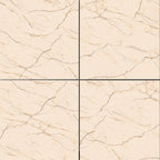 Digital Porcelain Tiles Code C-1001 (600x600 mm)