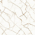 Digital Porcelain Tiles Code C-1007 (600x600 mm)