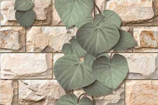 Digital Elevation Tiles Code 10175-SET (300x450 mm) High Depth