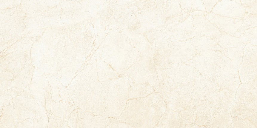 Digital Vitrified Tiles Code 105-Light (600x1200 mm) Glossy