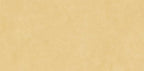 Digital Vitrified Tiles Code 1313 (600x1200 mm) Glossy Sp Colours