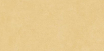Digital Vitrified Tiles Code 1313 (600x1200 mm) Glossy Sp Colours