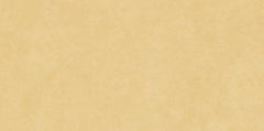 Digital Vitrified Tiles Code 1313 (600x1200 mm) Glossy Sp Colours