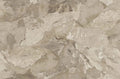 Digital Vitrified Tiles Code Albania Brown (1200x1800 mm) Glossy Endless 15MM