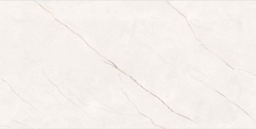 Digital Vitrified Tiles Code 16051 (600x1200 mm) Glossy Endless