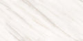 Digital Vitrified Tiles Code 16121 (600x1200 mm) Glossy Endless