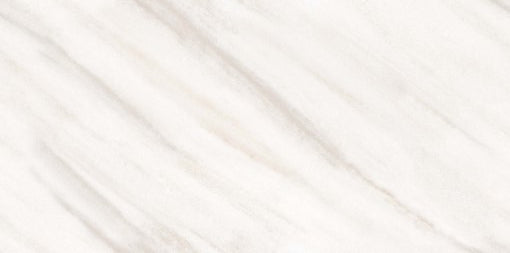 Digital Vitrified Tiles Code 16121 (600x1200 mm) Glossy Endless