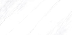 Digital Vitrified Tiles Code 1869 (600x1200 mm) Glossy