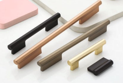 Spleza Door Handle 2002