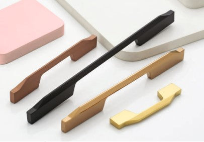 Spleza Door Handle 2005