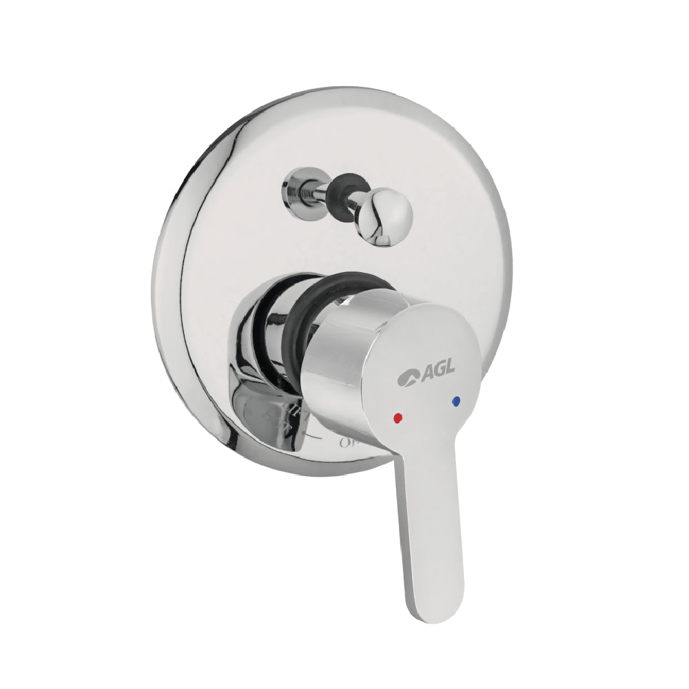 AGL Cham Exposed Part of Divertor