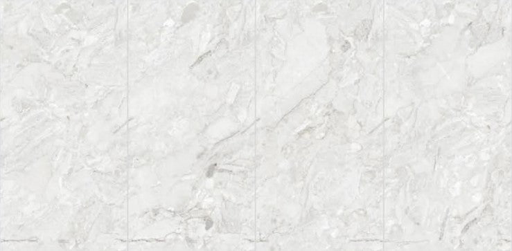 Digital Vitrified Tiles Code 2503 (600x1200 mm) Glossy