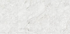 Digital Vitrified Tiles Code 2503 (600x1200 mm) Glossy