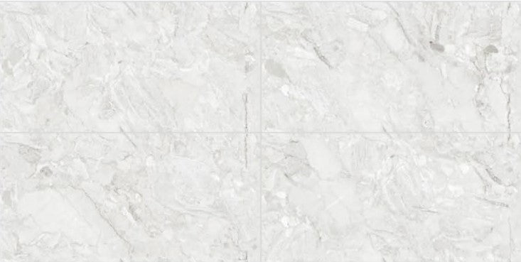 Digital Vitrified Tiles Code 2503 (600x1200 mm) Glossy