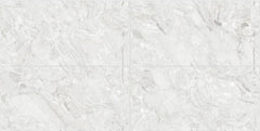 Digital Vitrified Tiles Code 2503 (600x1200 mm) Glossy