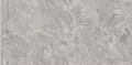 Digital Vitrified Tiles Code 2504 (600x1200 mm) Glossy