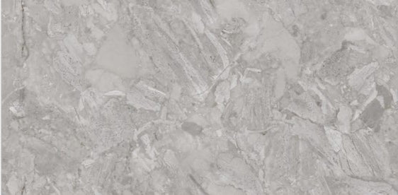 Digital Vitrified Tiles Code 2504 (600x1200 mm) Glossy