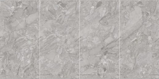 Digital Vitrified Tiles Code 2504 (600x1200 mm) Glossy