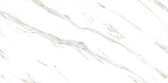 Digital Vitrified Tiles Code 2538 (600x1200 mm) Glossy