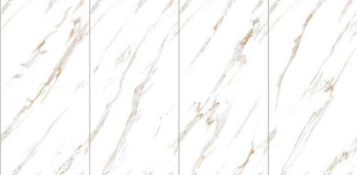 Digital Vitrified Tiles Code 2538 (600x1200 mm) Glossy