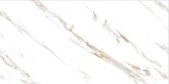 Digital Vitrified Tiles Code 2538 (600x1200 mm) Glossy