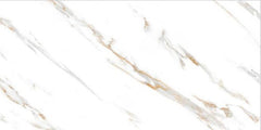 Digital Vitrified Tiles Code 2538 (600x1200 mm) Glossy