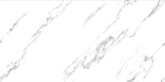Digital Vitrified Tiles Code 2539 (600x1200 mm) Glossy