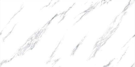 Digital Vitrified Tiles Code 2539 (600x1200 mm) Glossy