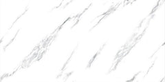 Digital Vitrified Tiles Code 2539 (600x1200 mm) Glossy
