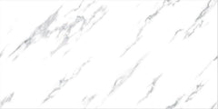 Digital Vitrified Tiles Code 2539 (600x1200 mm) Glossy