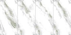 Digital Vitrified Tiles Code 2555 (600x1200 mm) Glossy