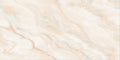 Digital Vitrified Tiles Code 2573 (600x1200 mm) Glossy