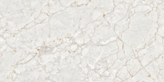 Digital Vitrified Tiles Code 2591 (600x1200 mm) Glossy