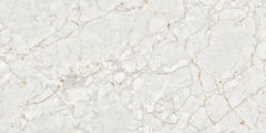 Digital Vitrified Tiles Code 2591 (600x1200 mm) Glossy