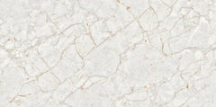Digital Vitrified Tiles Code 2591 (600x1200 mm) Glossy