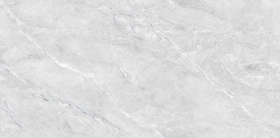 Digital Vitrified Tiles Code 2595 (600x1200 mm) Glossy