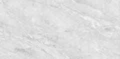 Digital Vitrified Tiles Code 2595 (600x1200 mm) Glossy