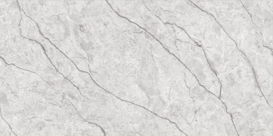Digital Vitrified Tiles Code 2612 (600x1200 mm) Glossy