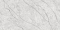 Digital Vitrified Tiles Code 2612 (600x1200 mm) Glossy