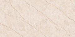 Digital Vitrified Tiles Code 2613 (600x1200 mm) Glossy