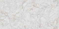 Digital Vitrified Tiles Code 2616 (600x1200 mm) Glossy