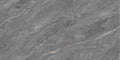 Digital Vitrified Tiles Code 2625 (600x1200 mm) Glossy