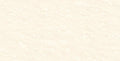 Digital Vitrified Tiles Code 3017 (600x1200 mm) Glossy Endless