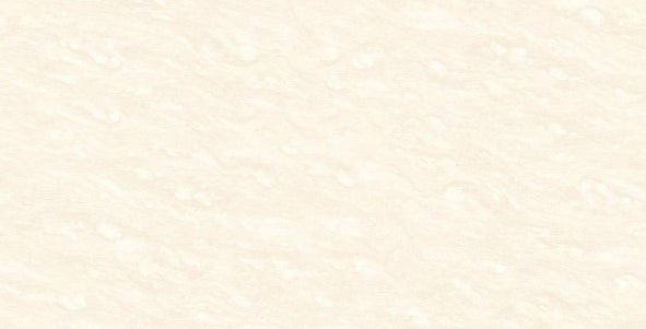 Digital Vitrified Tiles Code 3017 (600x1200 mm) Glossy Endless