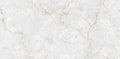 Digital Vitrified Tiles Code 3556 (600x1200 mm) Glossy