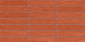 Digital Subway Tiles Code Gama Red (300x600 mm)