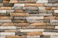 Digital Elevation Tiles Code 3906 (300x450 mm) High Depth