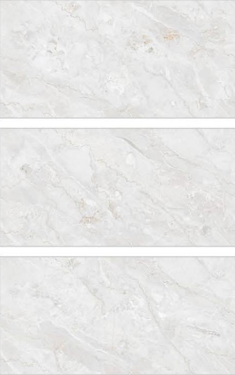 Digital Vitrified Tiles Code 417 (600x1200 mm) Velvet