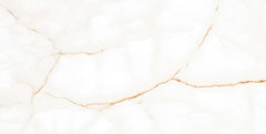 Digital Vitrified Tiles Code 42091 (600x1200 mm) Glossy